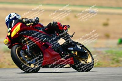 media/May-16-2025-2WTD (Fri) [[87c82739e1]]/B Group/Session 3 (Turn 4)/